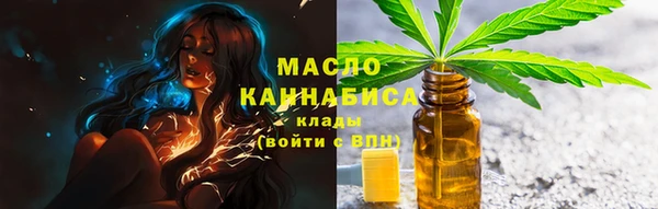 тгк Горнозаводск