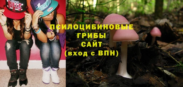 тгк Горнозаводск