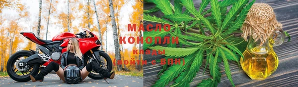 спиды Горняк