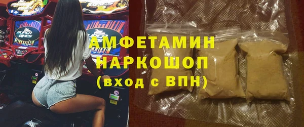 спиды Горняк