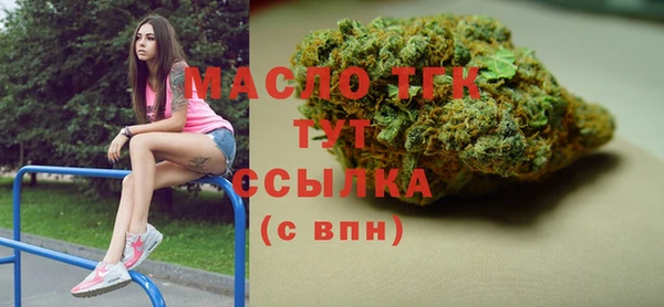 спиды Горняк
