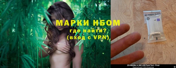 спиды Горняк