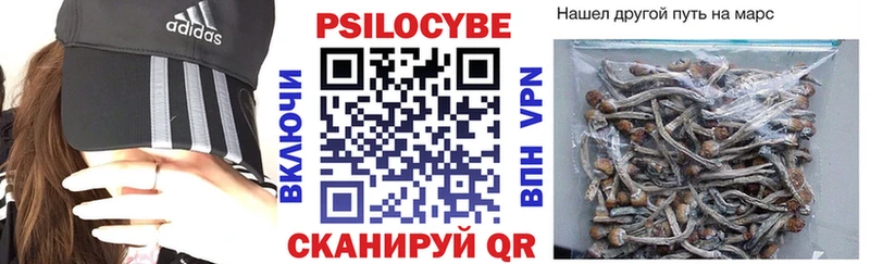 Купить где  Канаш  Галлюциногенные грибы Psilocybine cubensis 